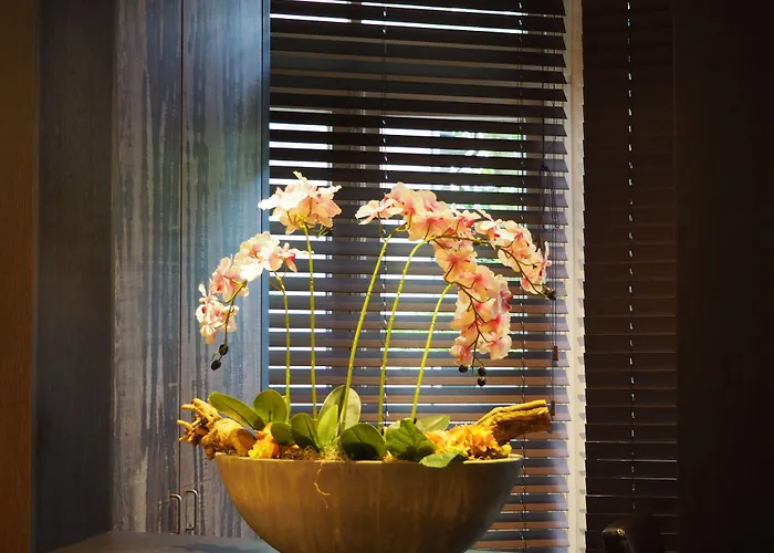 Pet Friendly hotel: Blossoms City Hotel
