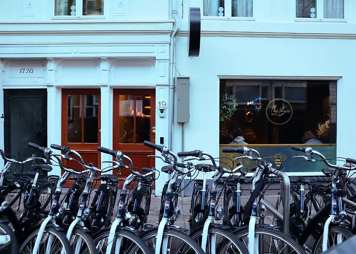 Hostel: The Bee Hostel